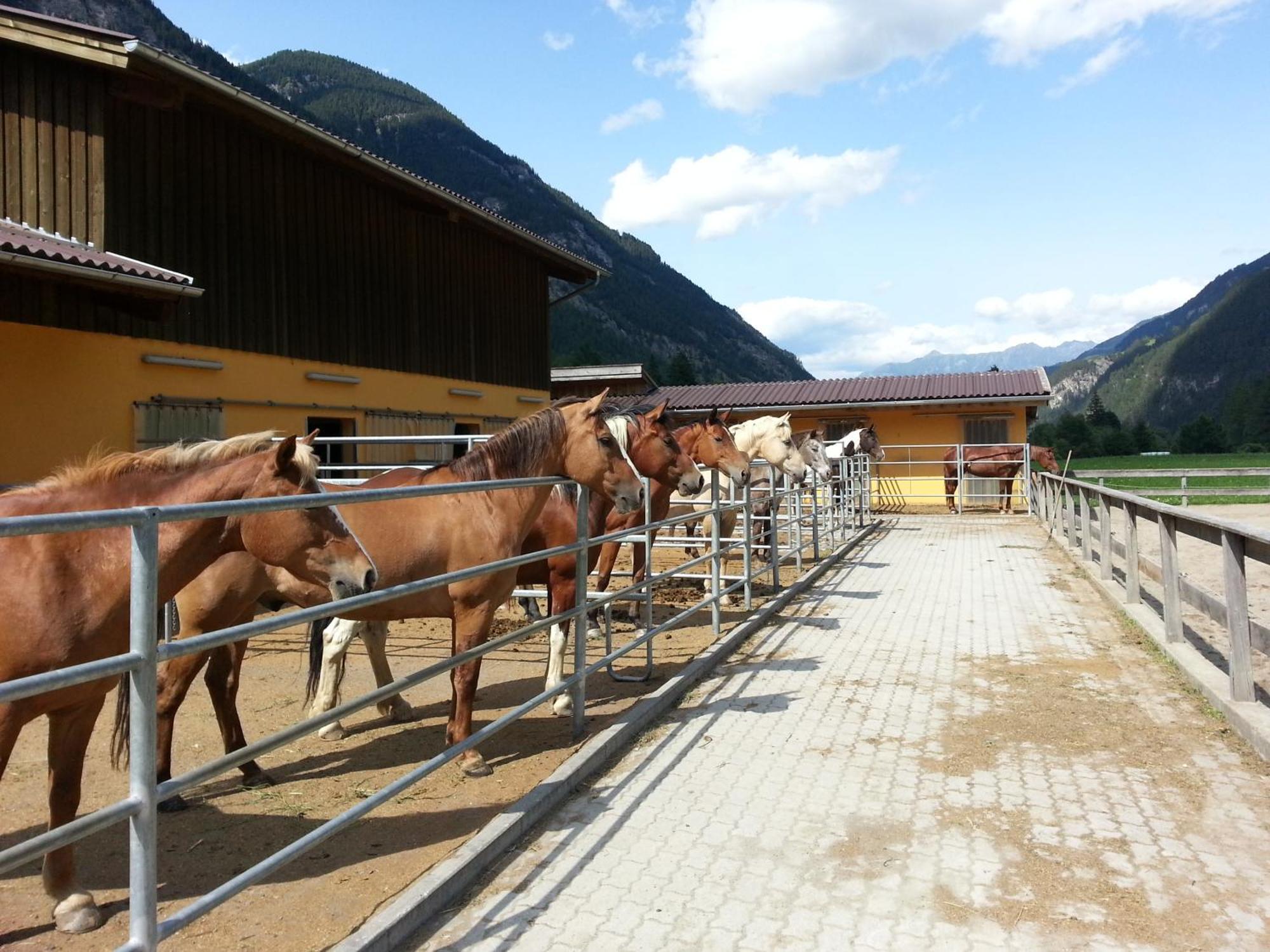 Collina